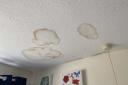 There are damp patches on the ceiling