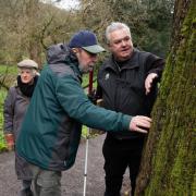 The National Trust team has introduced this interactive walk to promote accessibility