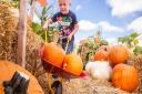 The zoo will host Pumpkin Fest during October.