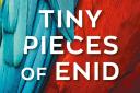 Tiny Pieces of Enid by Tim Ewins.