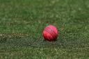 Nailsea CC Seconds have picked up one win and five defeats from their opening six games.