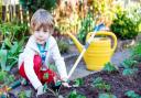Growing your own organic vegetables can be fun for all ages. Picture: Getty Images/iStockphoto