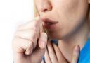 One case of whooping cough has been reported in North Somerset.