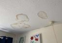 There are damp patches on the ceiling
