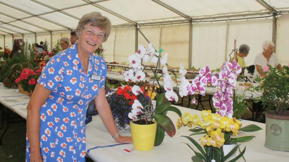 North Somerset Times: Show volunteer Jane Pagano with one of her winning entries North Somerset Times: Show volunteer Jane Pagano with one of her winning entries