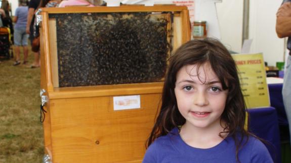 North Somerset Times: Visitors explored beekeeping. North Somerset Times: Visitors explored beekeeping.