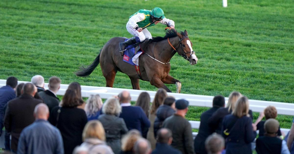 Fennor Cross rules supreme for McConnell at Cheltenham - Vimarsana News