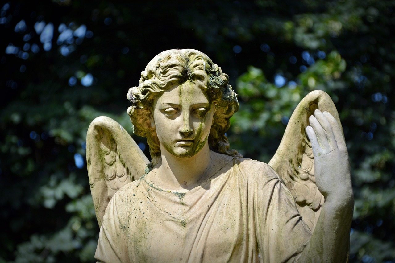 Death notices from the North Somerset Times January 29 - Vimarsana News
