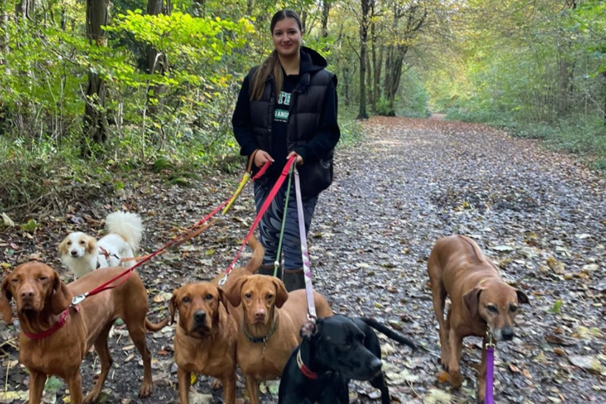 New dog walking business launches in Portishead | North Somerset Times - Vimarsana News