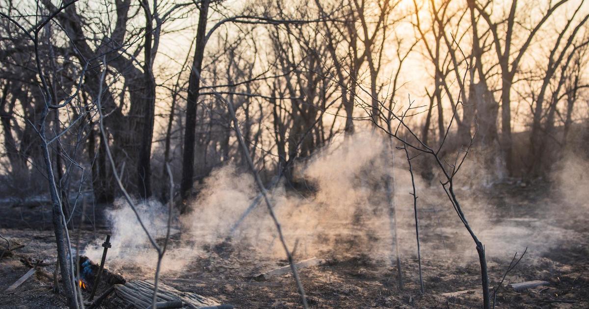Huge wildfire grows to become largest in history of Texas - Vimarsana News