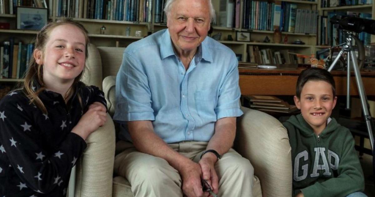 Looking back to when Tickenham students met Sir David Attenborough