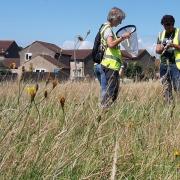 North Somerset Council have asked people to start monitoring biodiversity.
