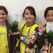 The Redcliffe Bay Brownie unit has been planting flowers to hand out to residents.