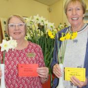 The Portishead Spring Show returns this weekend.