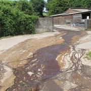 Environment officers found runoff from a heap of manure at Lye Cross Farm.