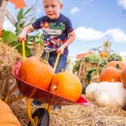 The zoo will host Pumpkin Fest during October.