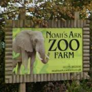 Noah's Ark Zoo Farm.