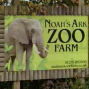 The zoo farm is also a registered charity.