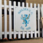 Nailsea CC fell to their second defeat of the season at Stoke Bishop.