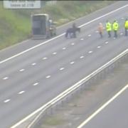 Police in attendance as horse wanders on the M5