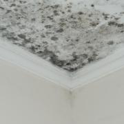 Monitoring moisture levels in a home is an important step in preventing mould.