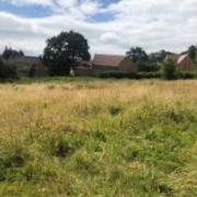 It comes after the field was removed from the building development list by North Somerset Council last month