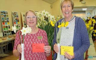 The Portishead Spring Show returns this weekend.